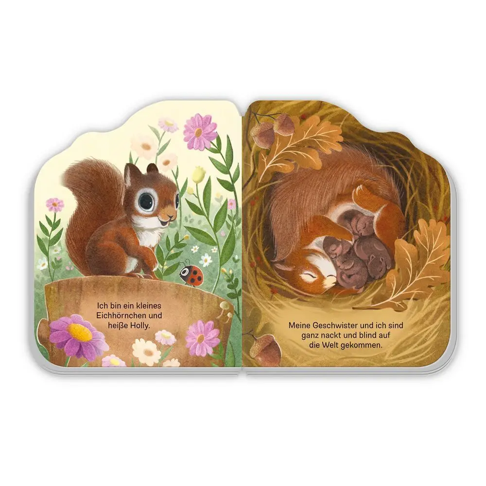 Bild: 9783988025562 | TRÖTSCH - Pappenbuch Das kleine Eichhörnchen Ab 1 Jahr | Co.KG | Buch
