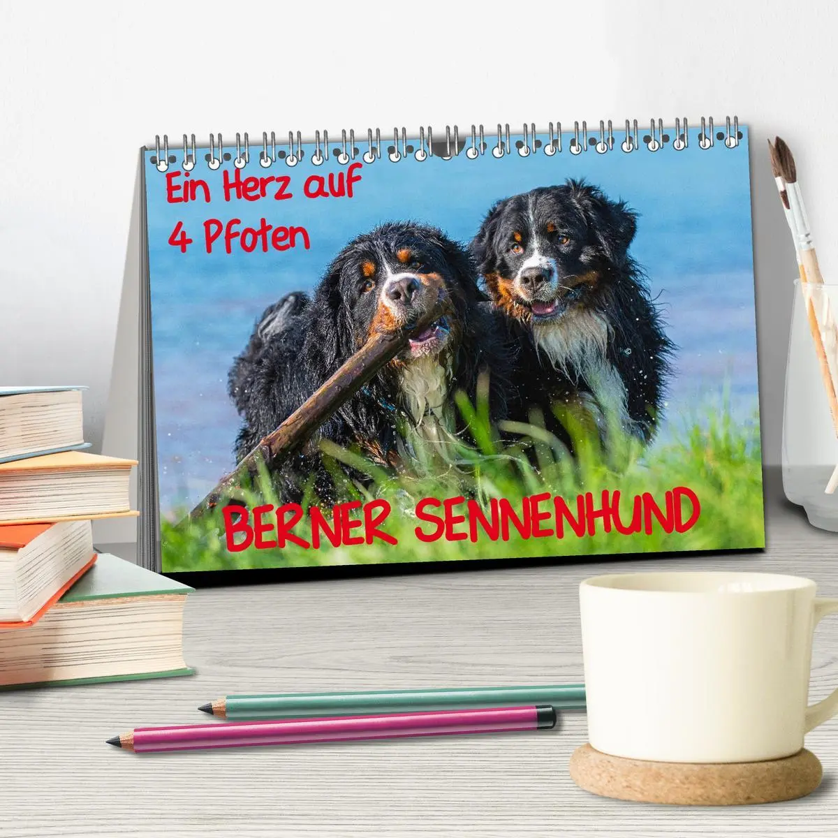 Bild: 9783457825662 | Ein Herz auf 4 Pfoten - Berner Sennenhund (Tischkalender 2026 DIN...