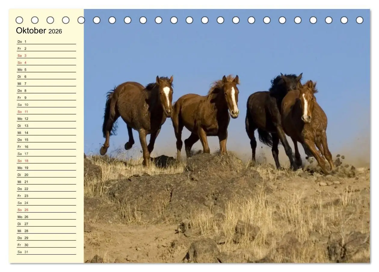 Bild: 9783457995662 | Wilde Pferde. Mustangs in USA (Tischkalender 2026 DIN A5 quer),...