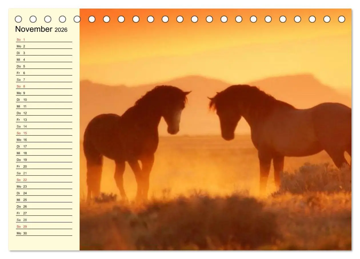 Bild: 9783457995662 | Wilde Pferde. Mustangs in USA (Tischkalender 2026 DIN A5 quer),...