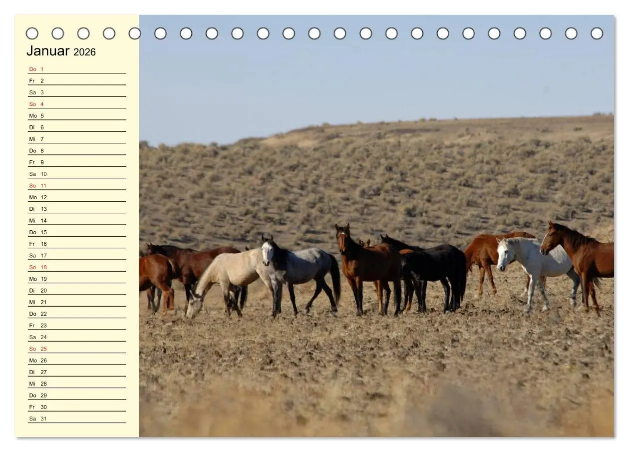 Bild: 9783457995662 | Wilde Pferde. Mustangs in USA (Tischkalender 2026 DIN A5 quer),...