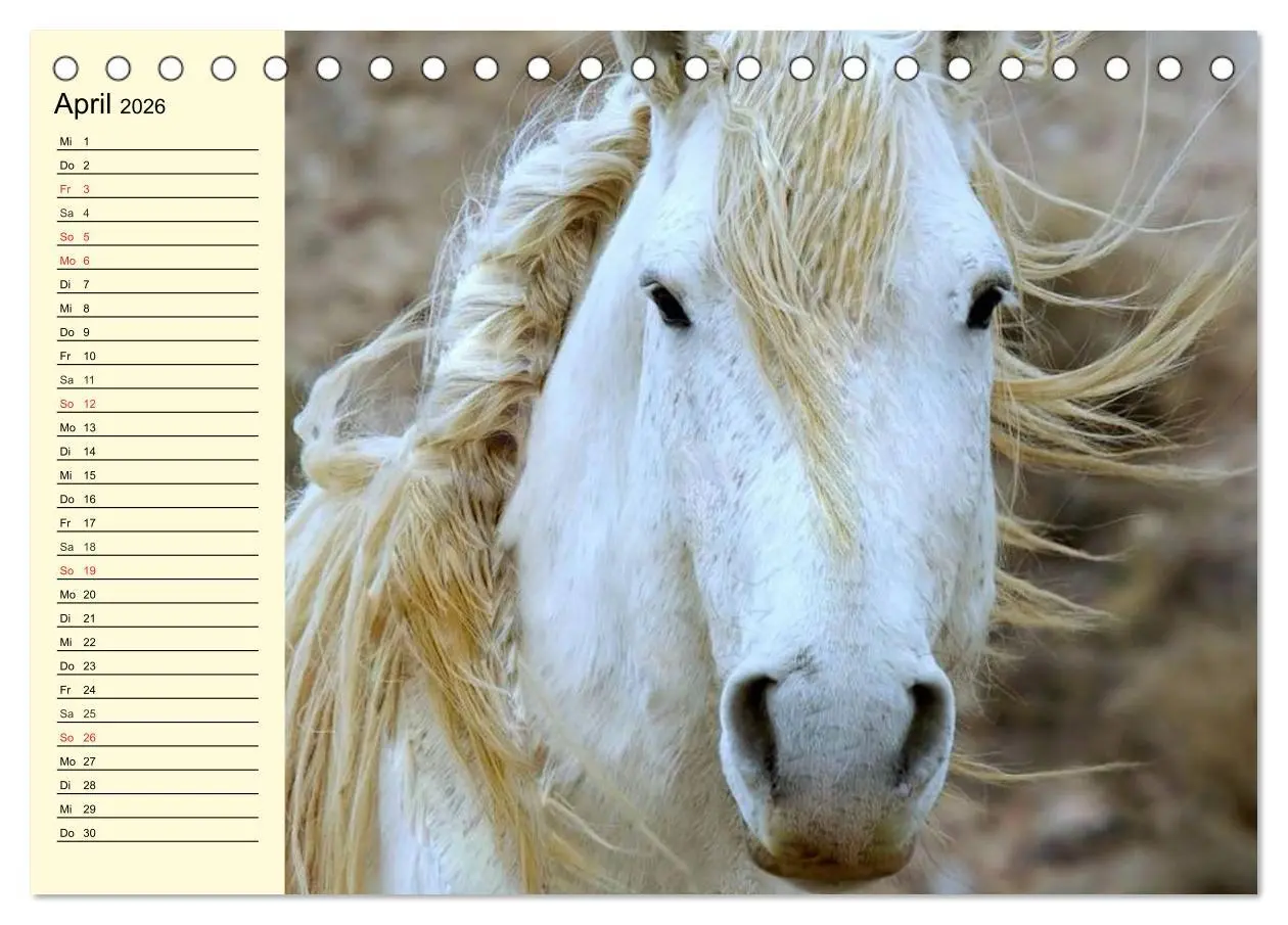 Bild: 9783457995662 | Wilde Pferde. Mustangs in USA (Tischkalender 2026 DIN A5 quer),...
