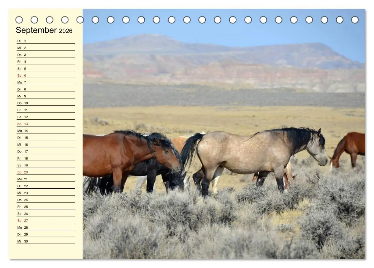 Bild: 9783457995662 | Wilde Pferde. Mustangs in USA (Tischkalender 2026 DIN A5 quer),...
