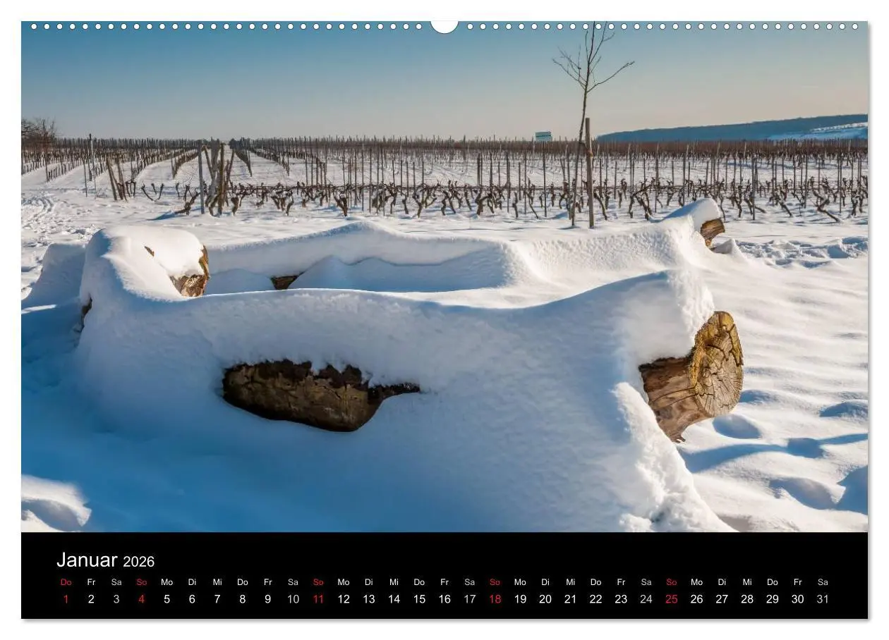 Bild: 9783516155662 | Ingelheim und Umgebung (hochwertiger Premium Wandkalender 2026 DIN...