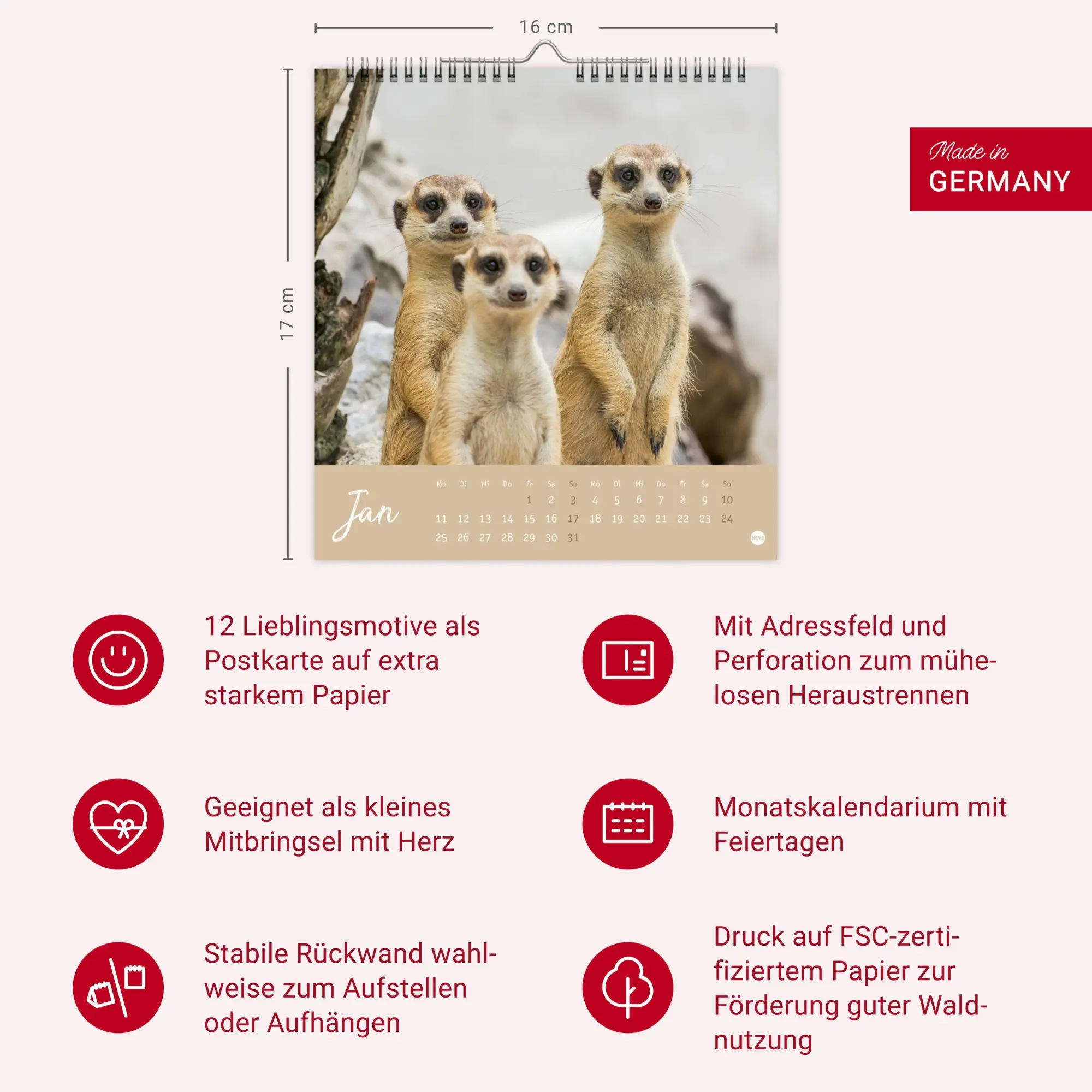Bild: 9783756415762 | Erdmännchen Postkartenkalender 2027 | Heye | Kalender | Spiralbindung