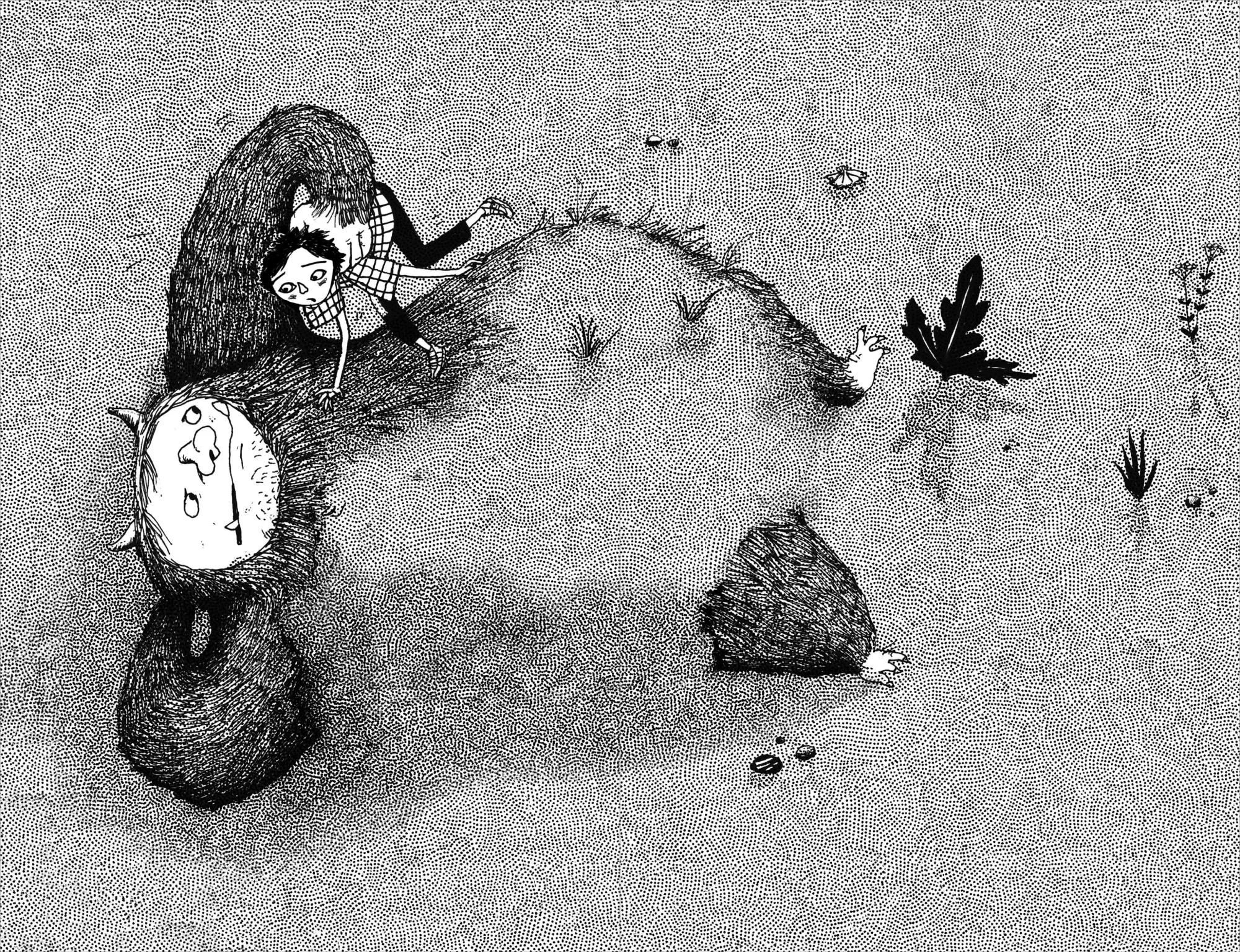 Bild: 9783423765862 | Die Insel der Schlasocks | Nils Mohl | Buch | 288 S. | Deutsch | 2025