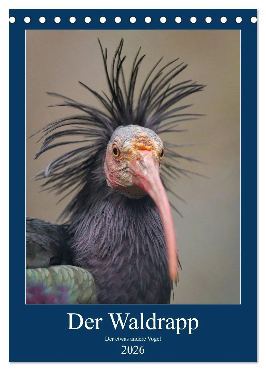 Cover: 9783516375862 | Der Waldrapp - Der etwas andere Vogel (Tischkalender 2026 DIN A5...