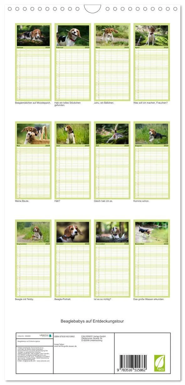 Bild: 9783516515862 | Familienplaner 2026 - Beaglebabys auf Entdeckungstour mit 5 Spalten...