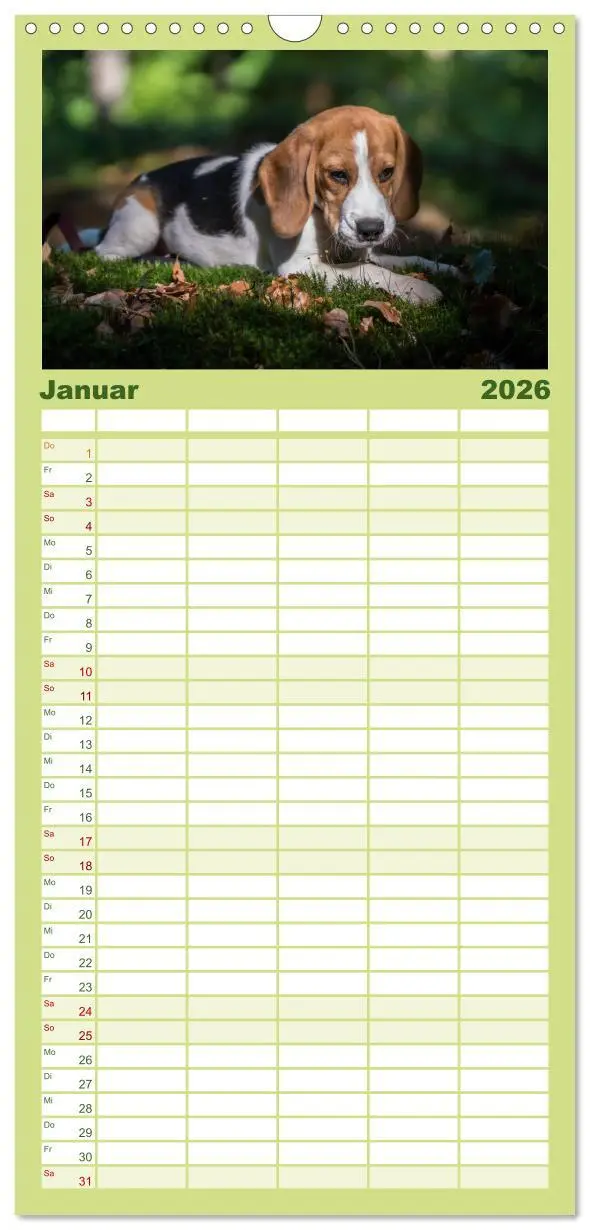 Bild: 9783516515862 | Familienplaner 2026 - Beaglebabys auf Entdeckungstour mit 5 Spalten...