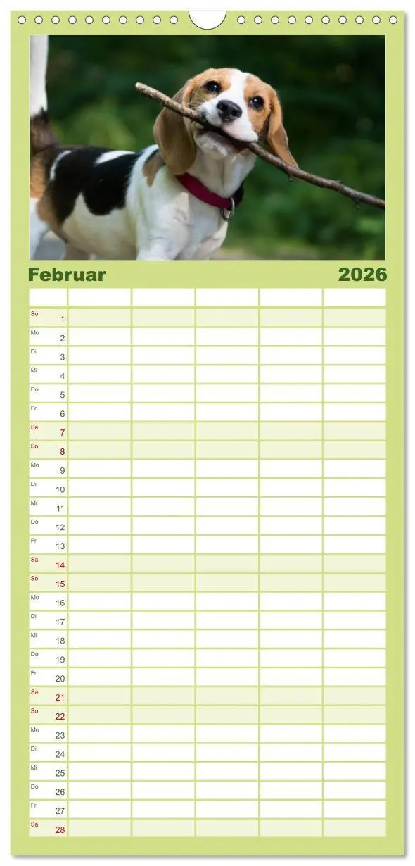 Bild: 9783516515862 | Familienplaner 2026 - Beaglebabys auf Entdeckungstour mit 5 Spalten...