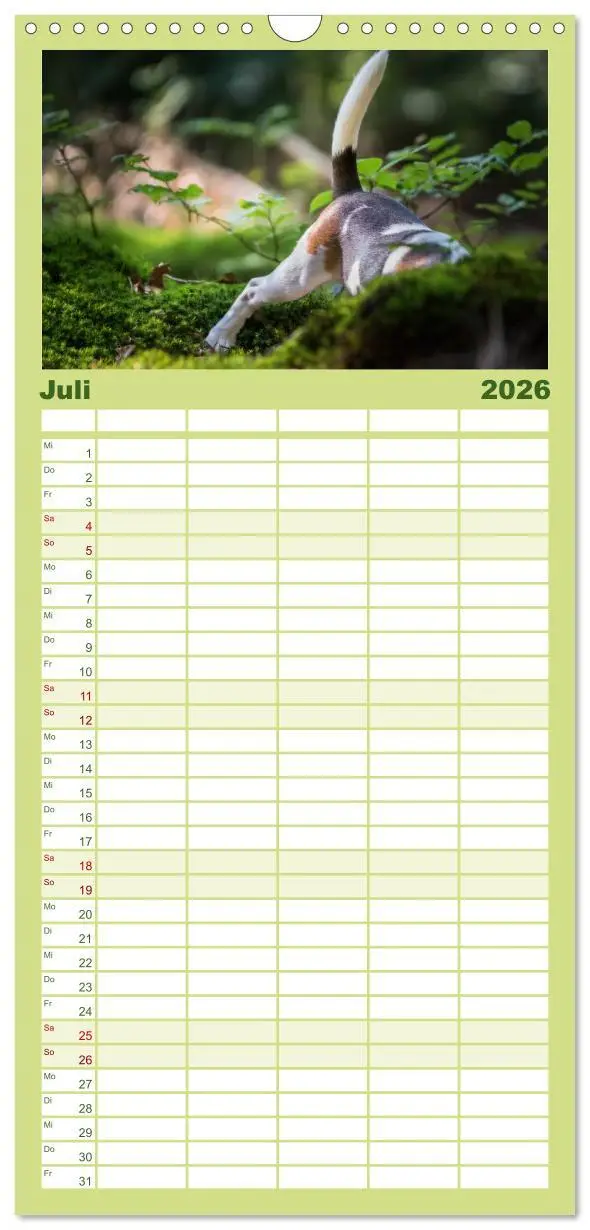 Bild: 9783516515862 | Familienplaner 2026 - Beaglebabys auf Entdeckungstour mit 5 Spalten...