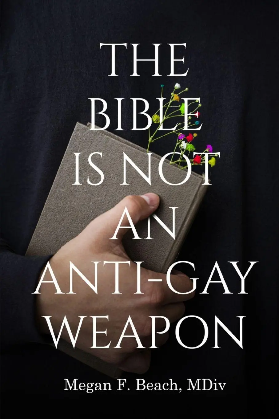 Cover: 9798349305962 | The Bible is Not an Anti-Gay Weapon | Megan F. Beach | Taschenbuch