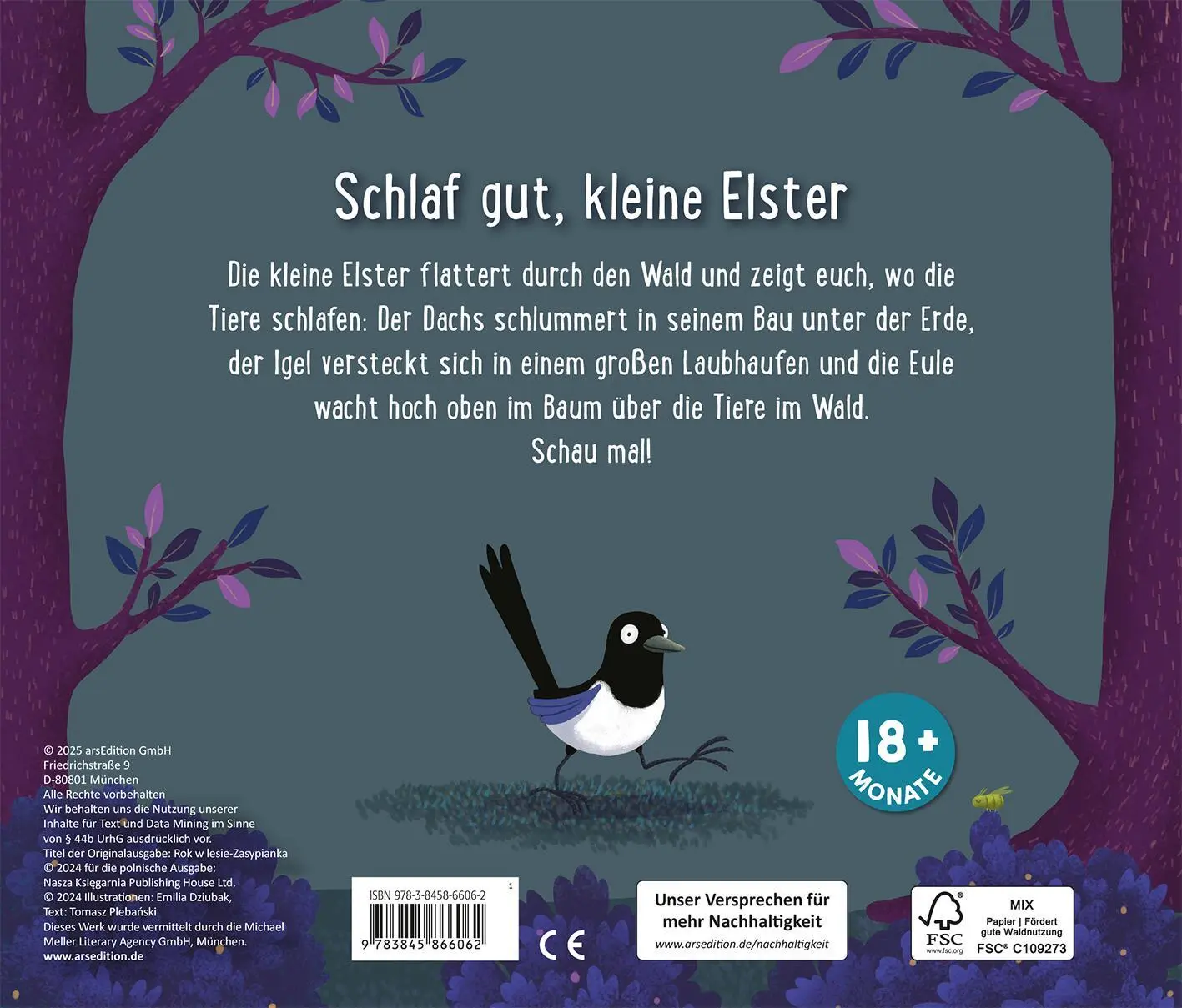 Rückseite: 9783845866062 | Gute Nacht im Wald | Wo die Tiere schlafen | Emilia Dziubak | Buch