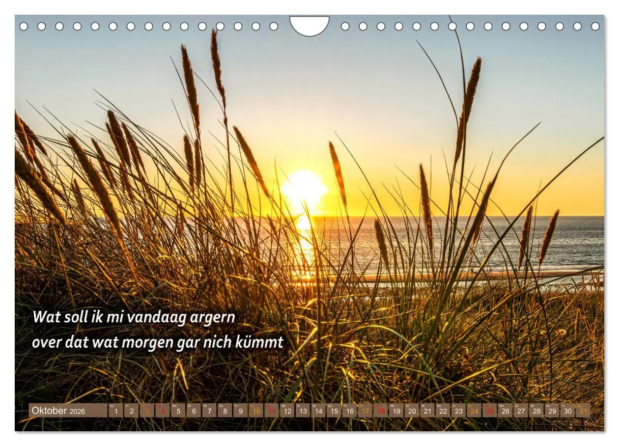 Bild: 9783457536162 | De Sprökje Kalenner "We proten platt" (Wandkalender 2026 DIN A4...