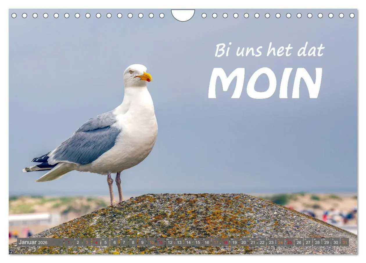 Bild: 9783457536162 | De Sprökje Kalenner "We proten platt" (Wandkalender 2026 DIN A4...