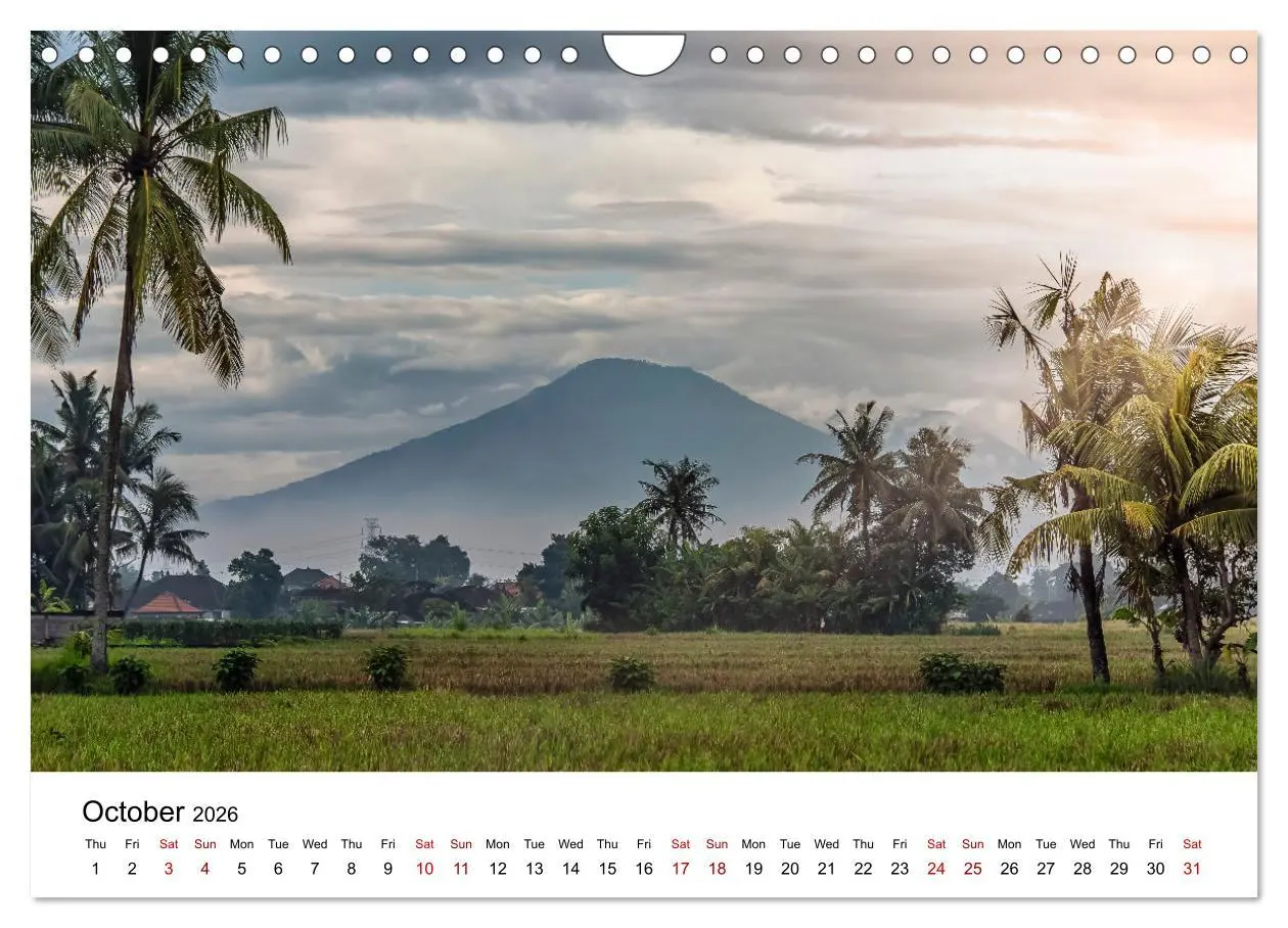 Bild: 9783516556162 | Tropical Vibes (Wall Calendar 2026 DIN A4 landscape), CALVENDO 12...
