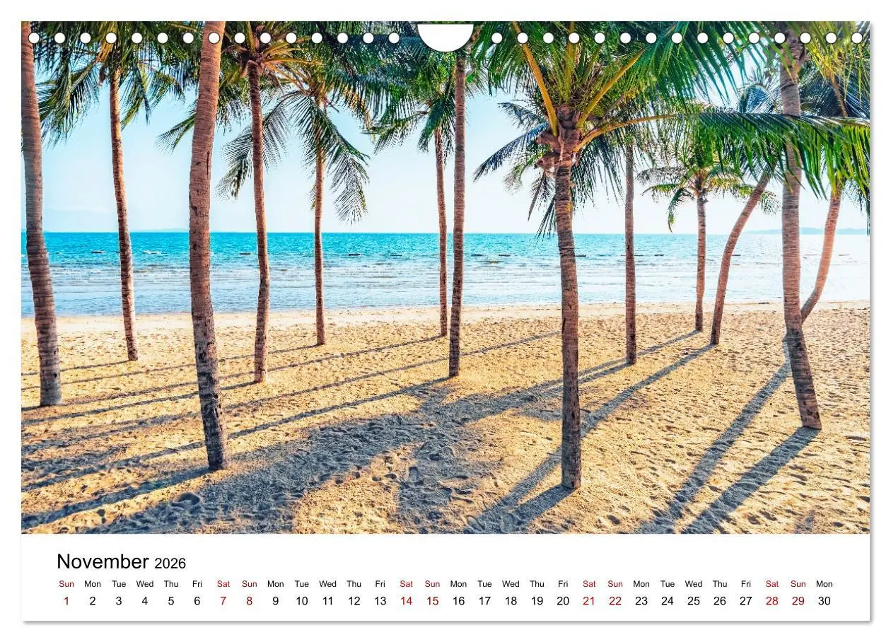 Bild: 9783516556162 | Tropical Vibes (Wall Calendar 2026 DIN A4 landscape), CALVENDO 12...