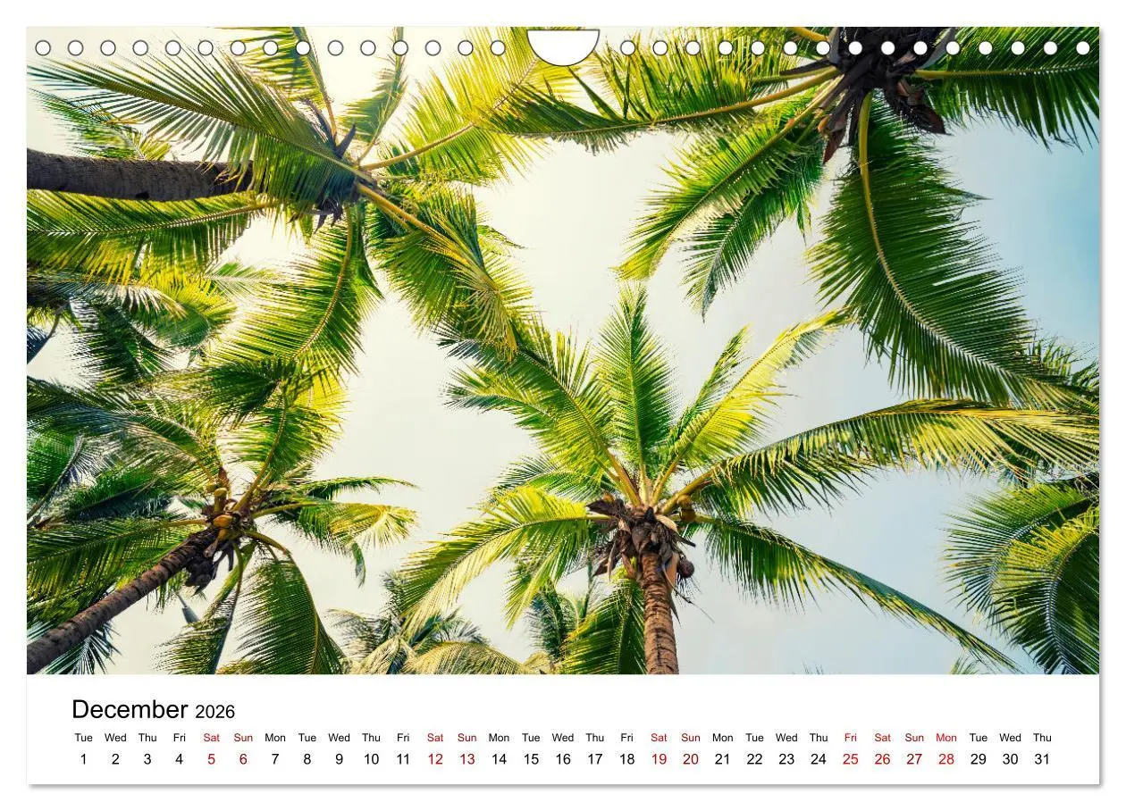 Bild: 9783516556162 | Tropical Vibes (Wall Calendar 2026 DIN A4 landscape), CALVENDO 12...