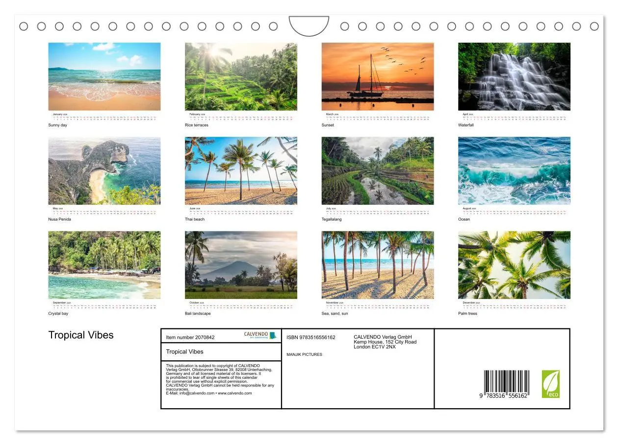 Bild: 9783516556162 | Tropical Vibes (Wall Calendar 2026 DIN A4 landscape), CALVENDO 12...
