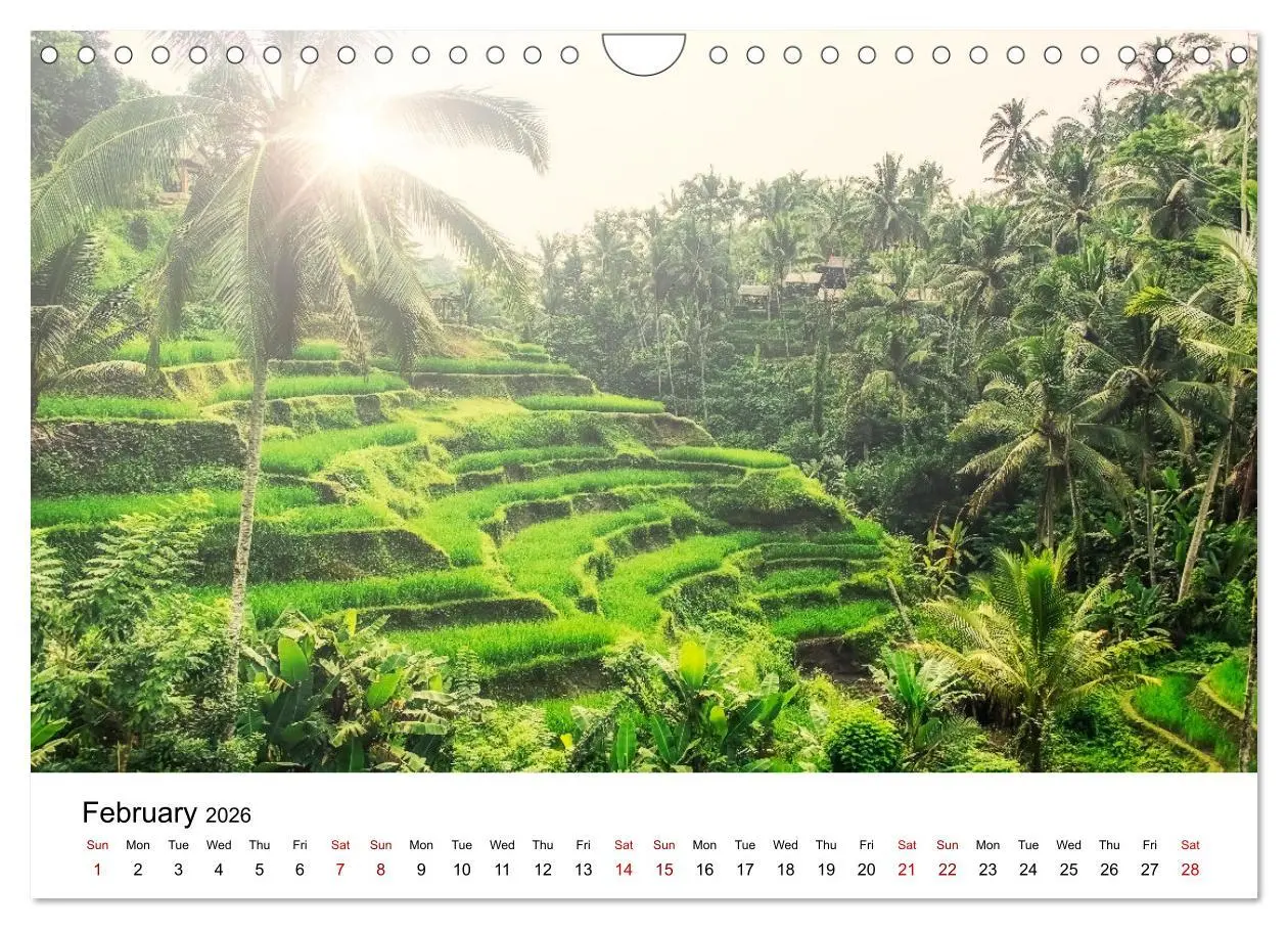 Bild: 9783516556162 | Tropical Vibes (Wall Calendar 2026 DIN A4 landscape), CALVENDO 12...