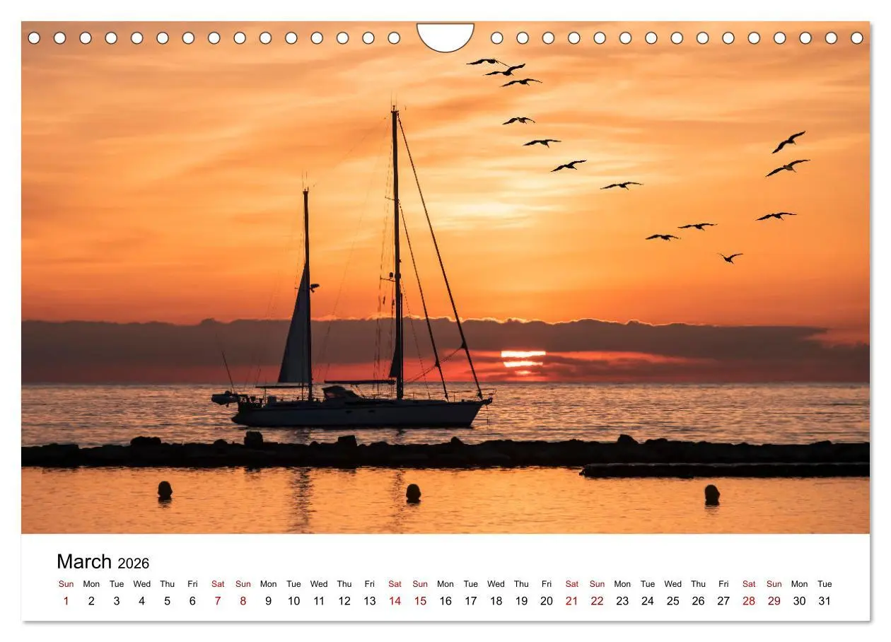 Bild: 9783516556162 | Tropical Vibes (Wall Calendar 2026 DIN A4 landscape), CALVENDO 12...
