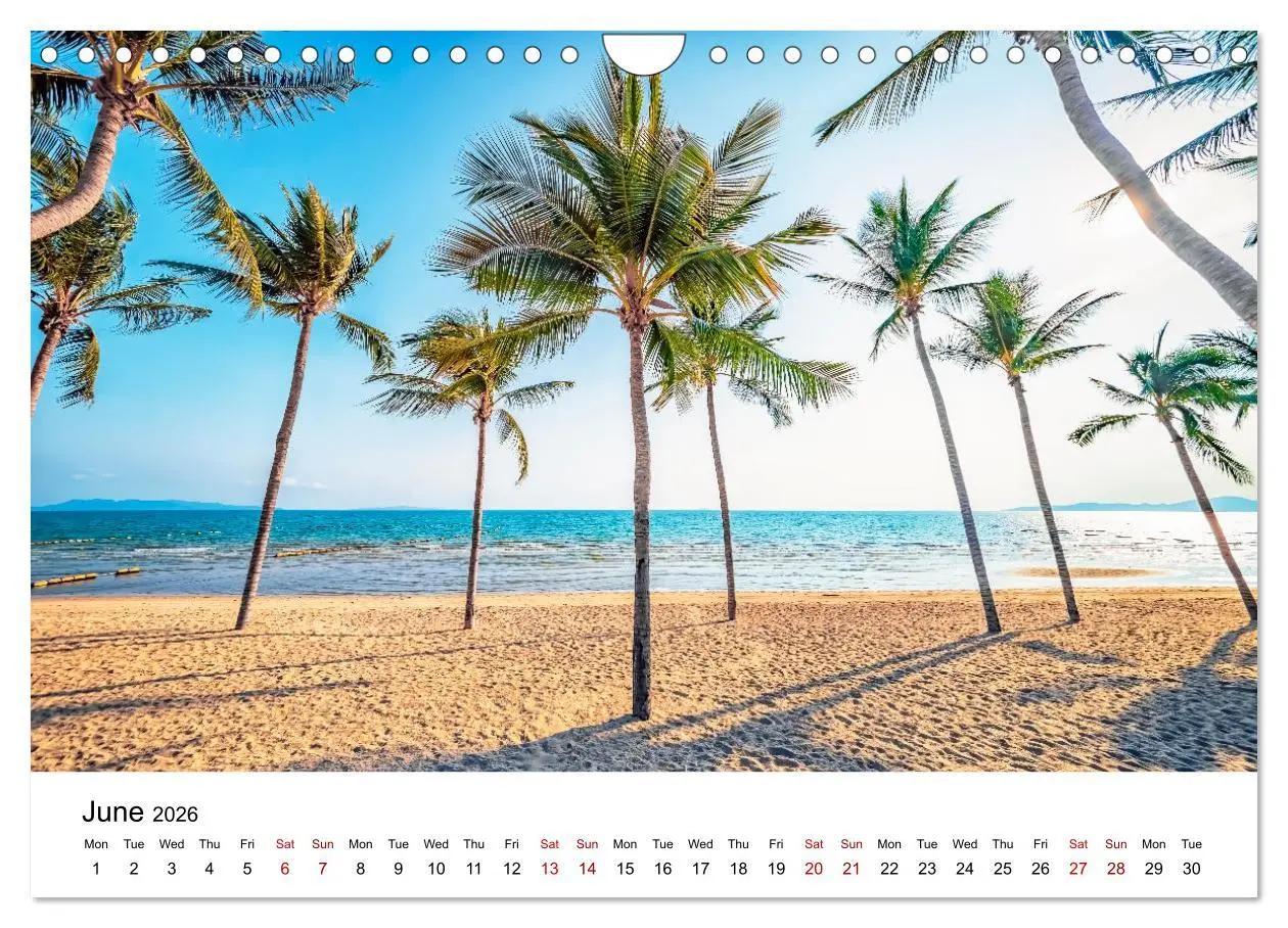 Bild: 9783516556162 | Tropical Vibes (Wall Calendar 2026 DIN A4 landscape), CALVENDO 12...
