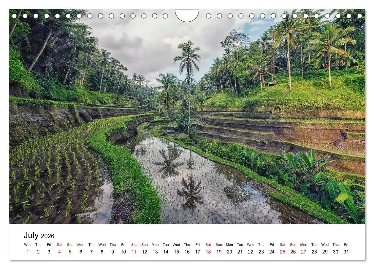 Bild: 9783516556162 | Tropical Vibes (Wall Calendar 2026 DIN A4 landscape), CALVENDO 12...