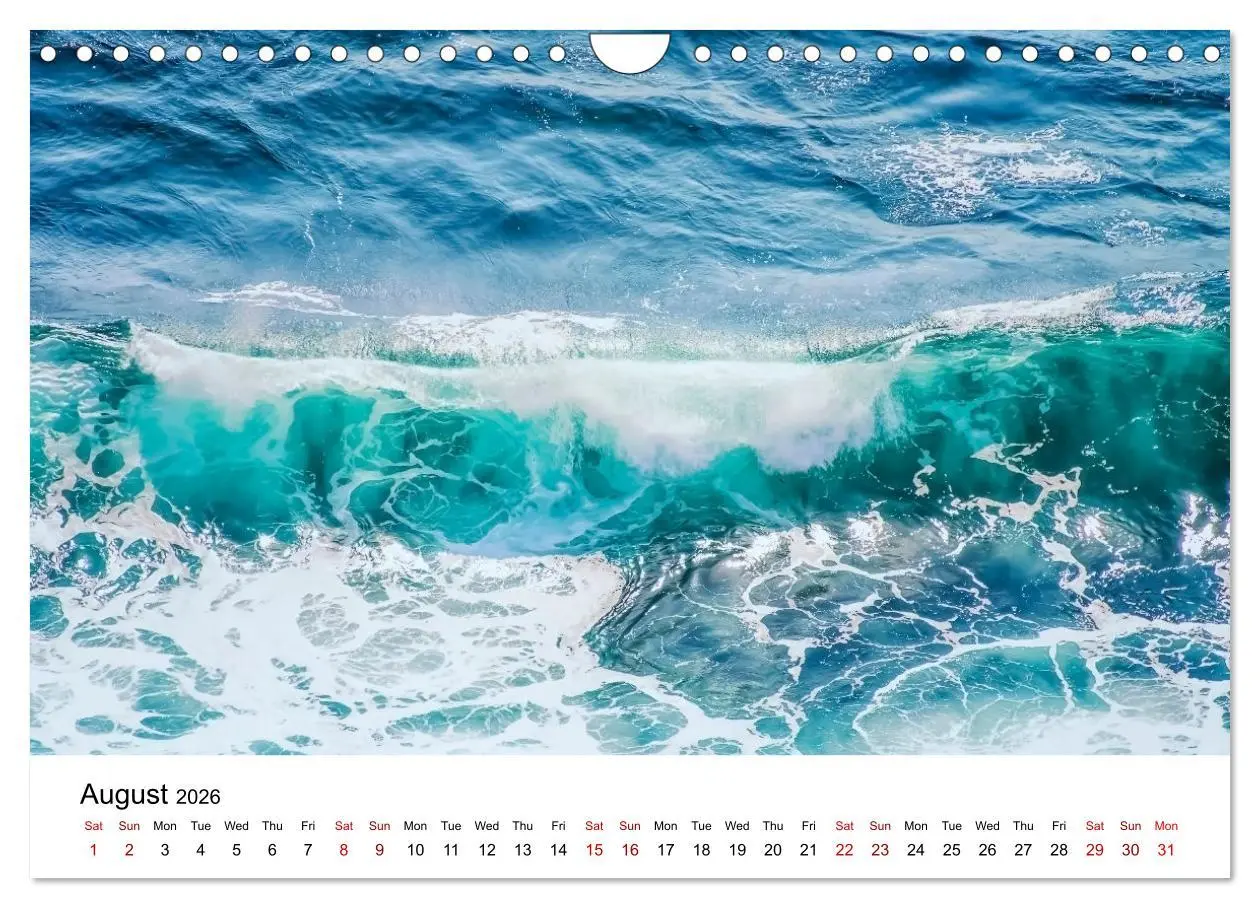Bild: 9783516556162 | Tropical Vibes (Wall Calendar 2026 DIN A4 landscape), CALVENDO 12...