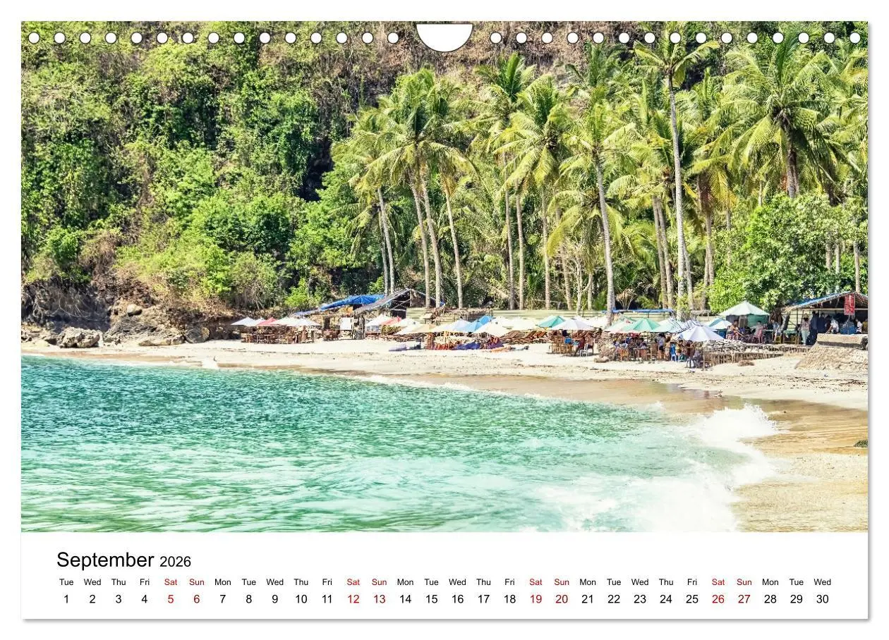 Bild: 9783516556162 | Tropical Vibes (Wall Calendar 2026 DIN A4 landscape), CALVENDO 12...