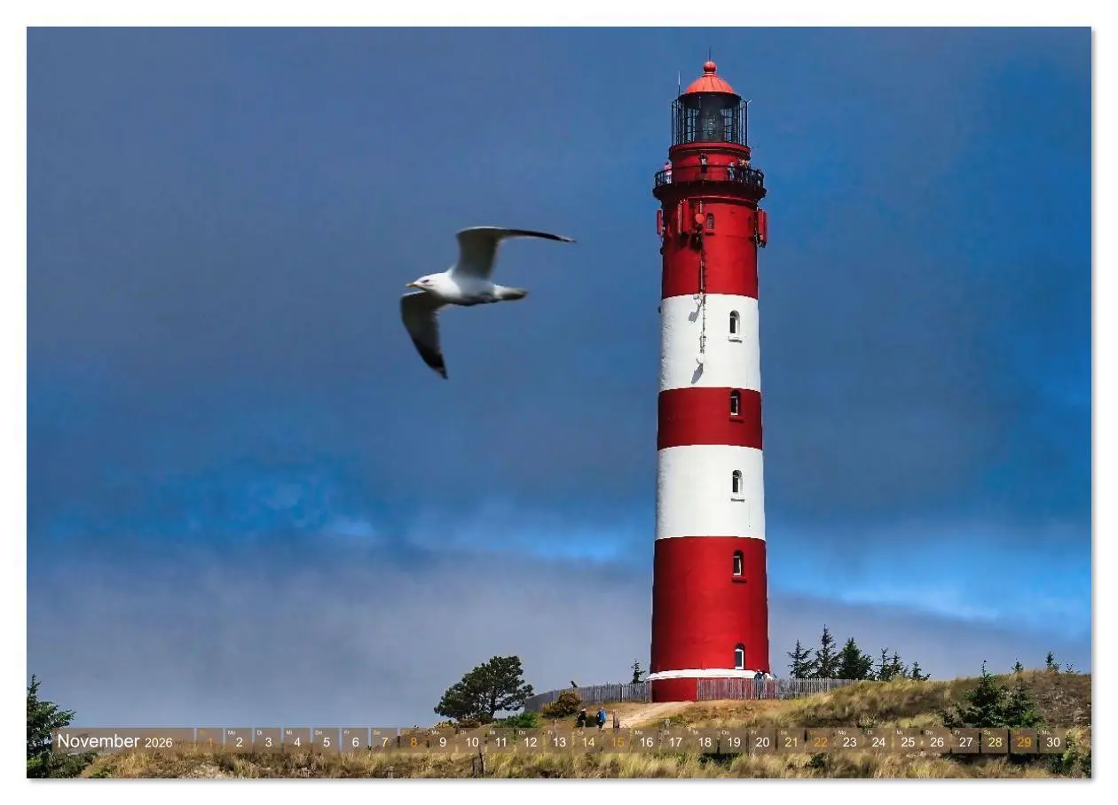 Bild: 9783516626162 | Amrum Glücksort (Wandkalender 2026 DIN A2 quer), CALVENDO...