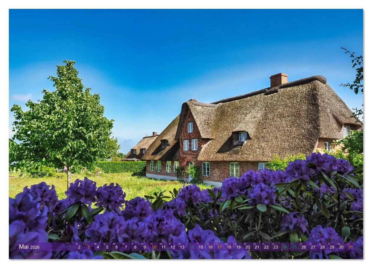 Bild: 9783516626162 | Amrum Glücksort (Wandkalender 2026 DIN A2 quer), CALVENDO...