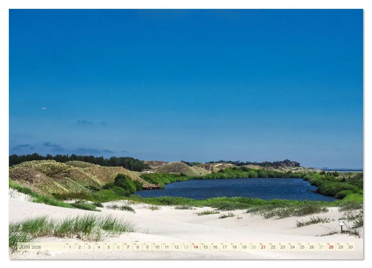 Bild: 9783516626162 | Amrum Glücksort (Wandkalender 2026 DIN A2 quer), CALVENDO...