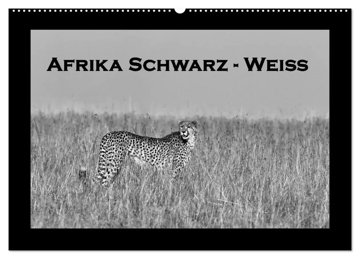 Cover: 9783516166262 | Afrika Schwarz - Weiss (Wandkalender 2026 DIN A2 quer), CALVENDO...