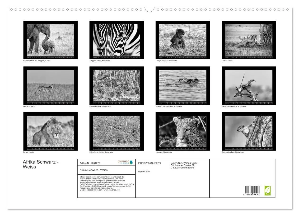 Bild: 9783516166262 | Afrika Schwarz - Weiss (Wandkalender 2026 DIN A2 quer), CALVENDO...