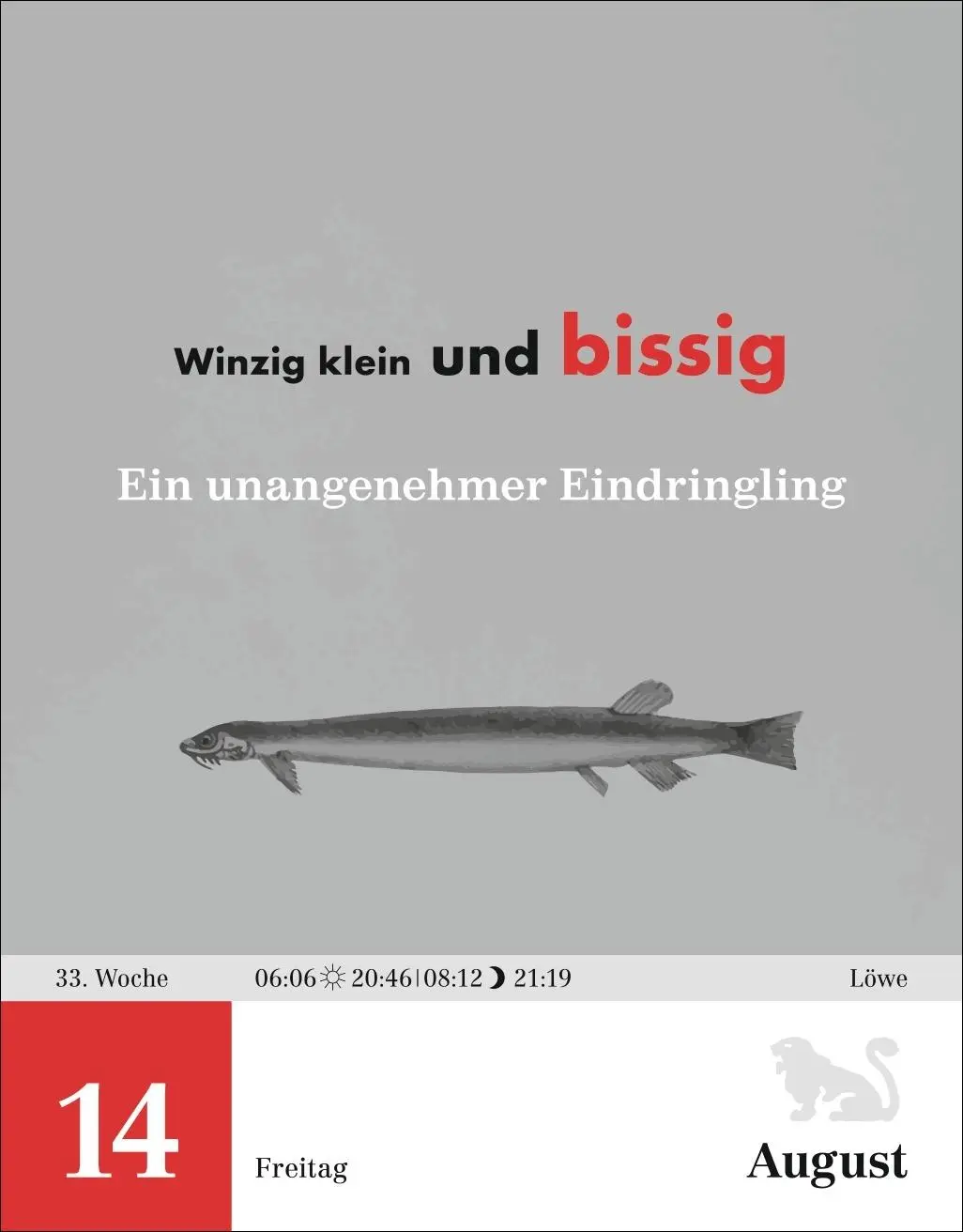 Bild: 9783840036262 | Einstein für Quanten-Dilettanten Tagesabreißkalender 2026 - Ein...
