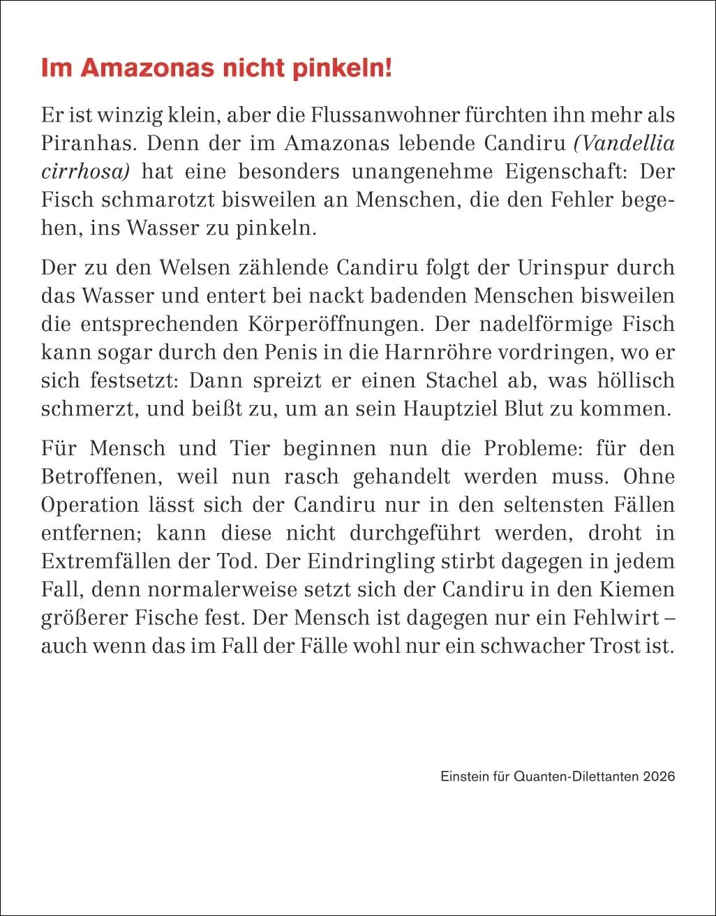Bild: 9783840036262 | Einstein für Quanten-Dilettanten Tagesabreißkalender 2026 - Ein...