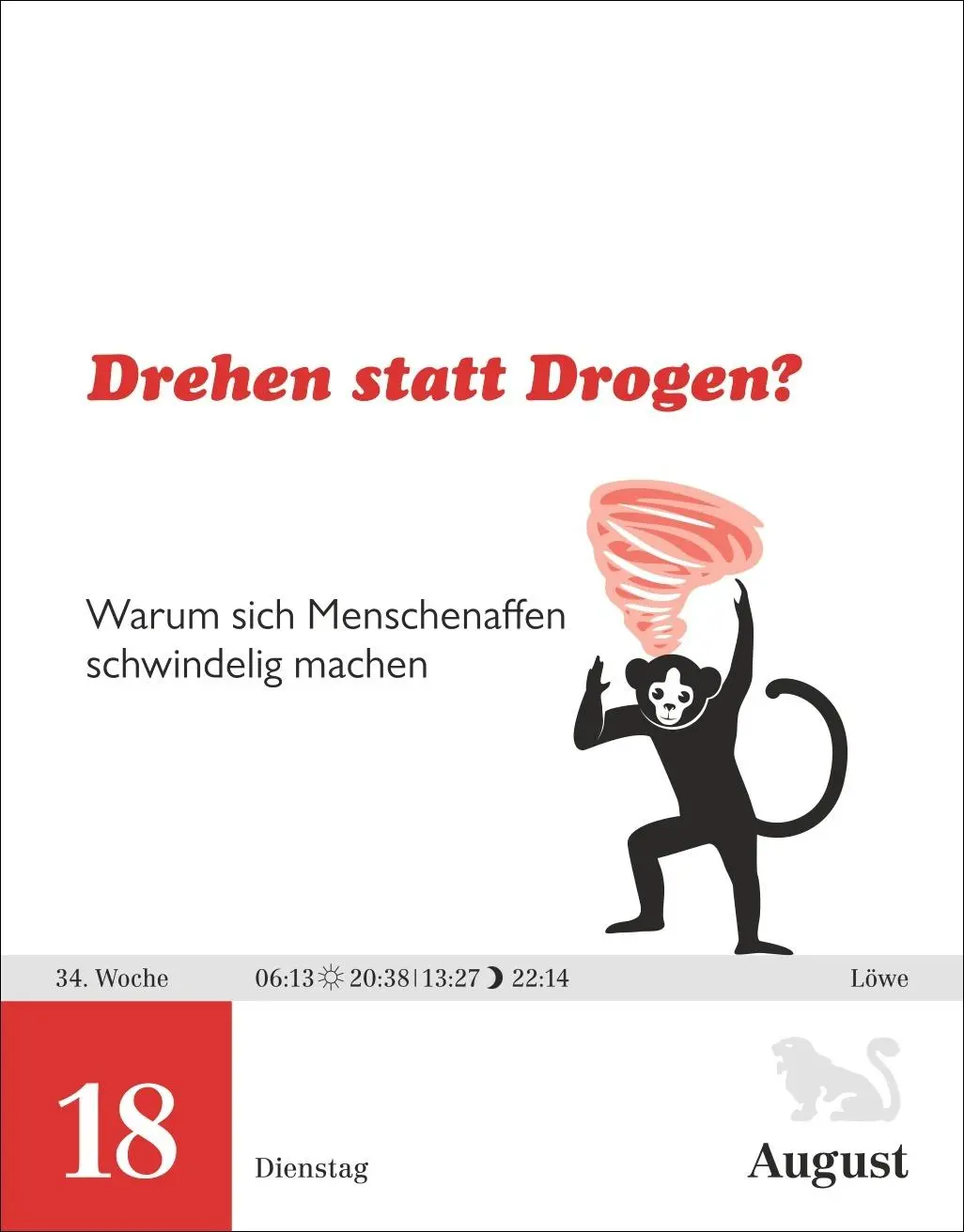 Bild: 9783840036262 | Einstein für Quanten-Dilettanten Tagesabreißkalender 2026 - Ein...