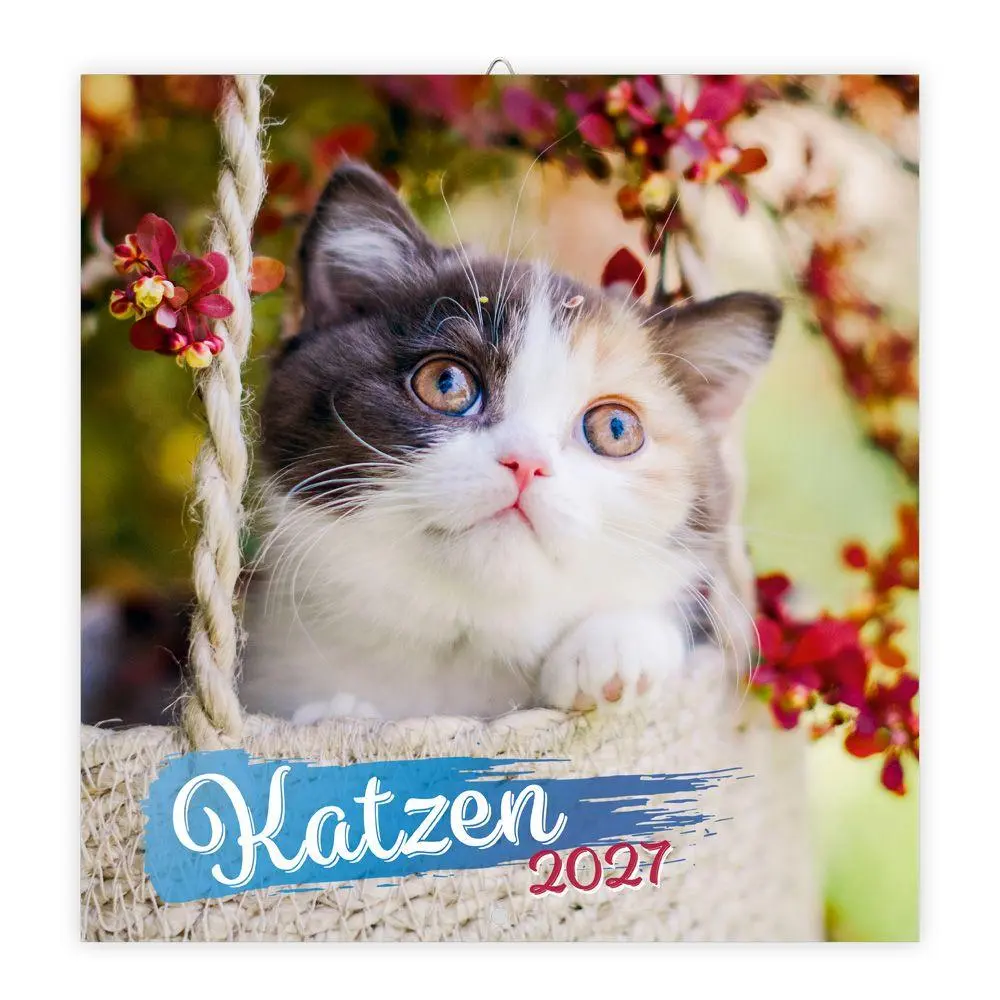 Cover: 9783988026262 | TRÖTSCH - Broschürenkalender Katzen 2027 | Wandplaner | KG | Kalender