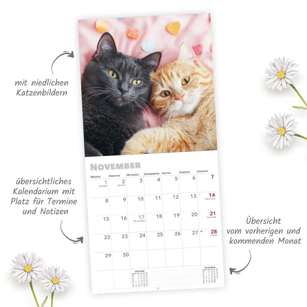 Bild: 9783988026262 | TRÖTSCH - Broschürenkalender Katzen 2027 | Wandplaner | KG | Kalender