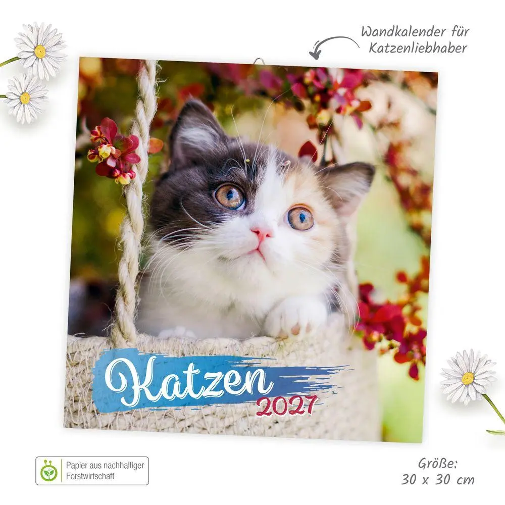 Bild: 9783988026262 | TRÖTSCH - Broschürenkalender Katzen 2027 | Wandplaner | KG | Kalender