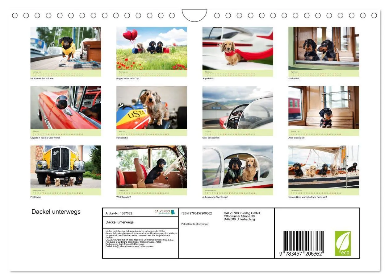 Bild: 9783457206362 | Dackel unterwegs (Wandkalender 2025 DIN A4 quer), CALVENDO...