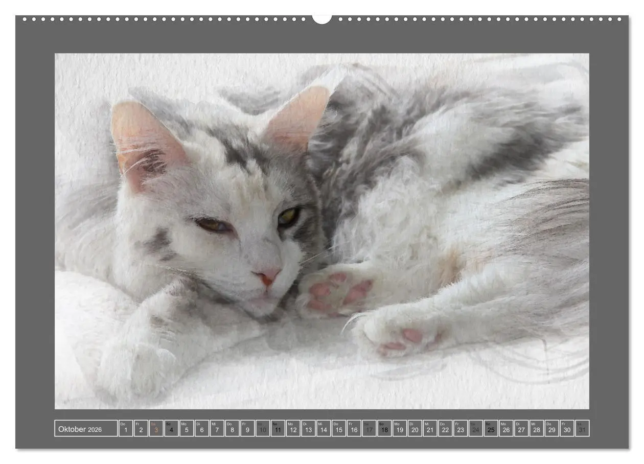 Bild: 9783457446362 | Maine Coon Aquarelle (hochwertiger Premium Wandkalender 2026 DIN A2...