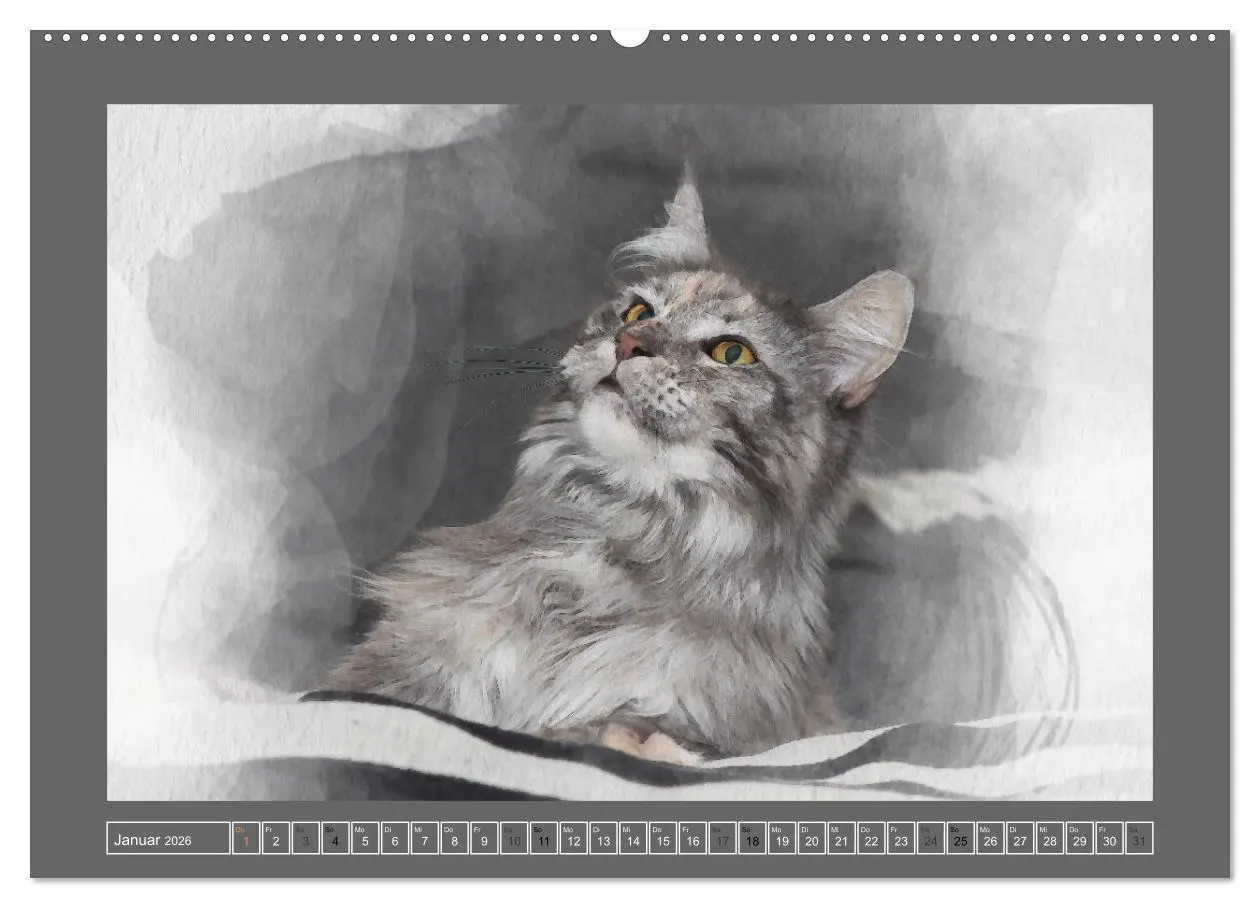 Bild: 9783457446362 | Maine Coon Aquarelle (hochwertiger Premium Wandkalender 2026 DIN A2...