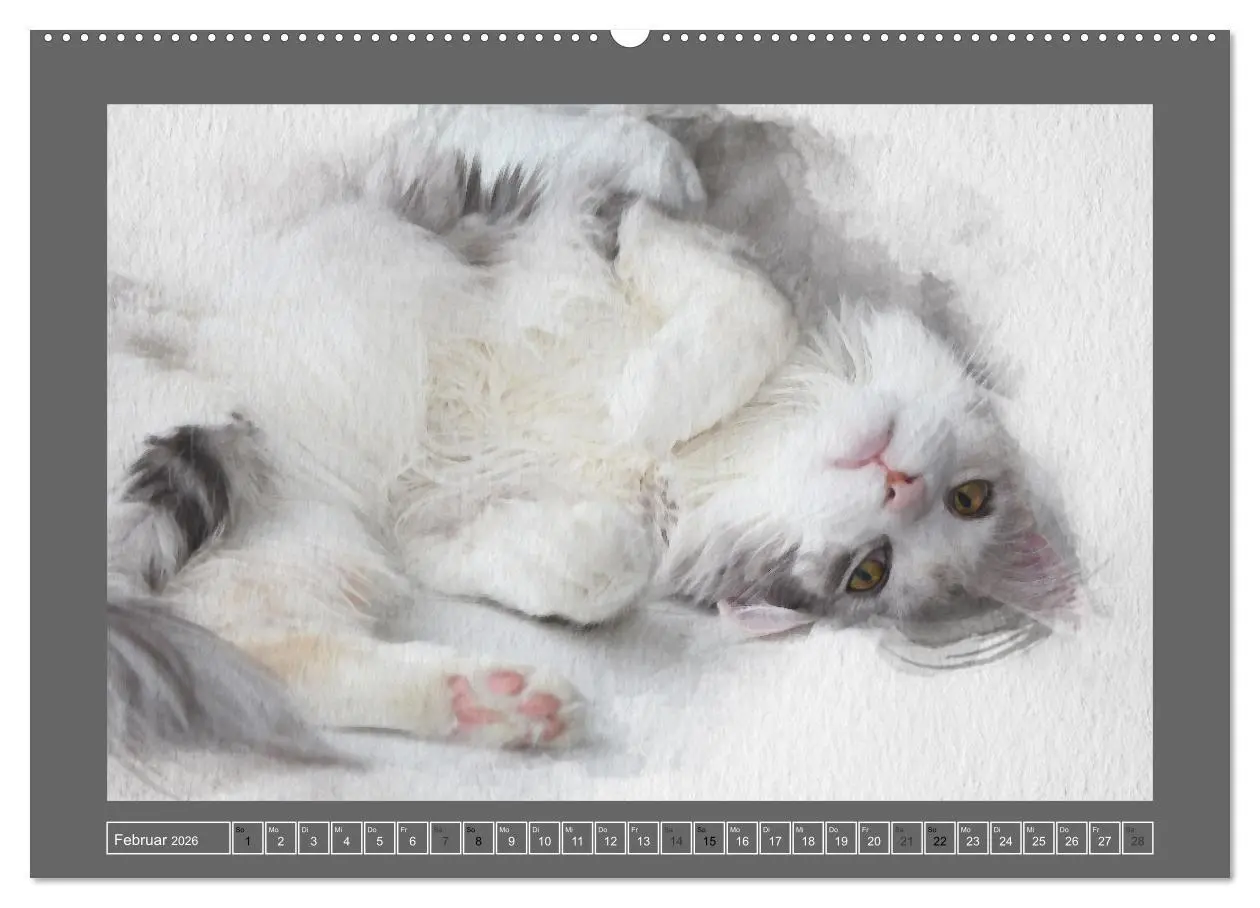 Bild: 9783457446362 | Maine Coon Aquarelle (hochwertiger Premium Wandkalender 2026 DIN A2...