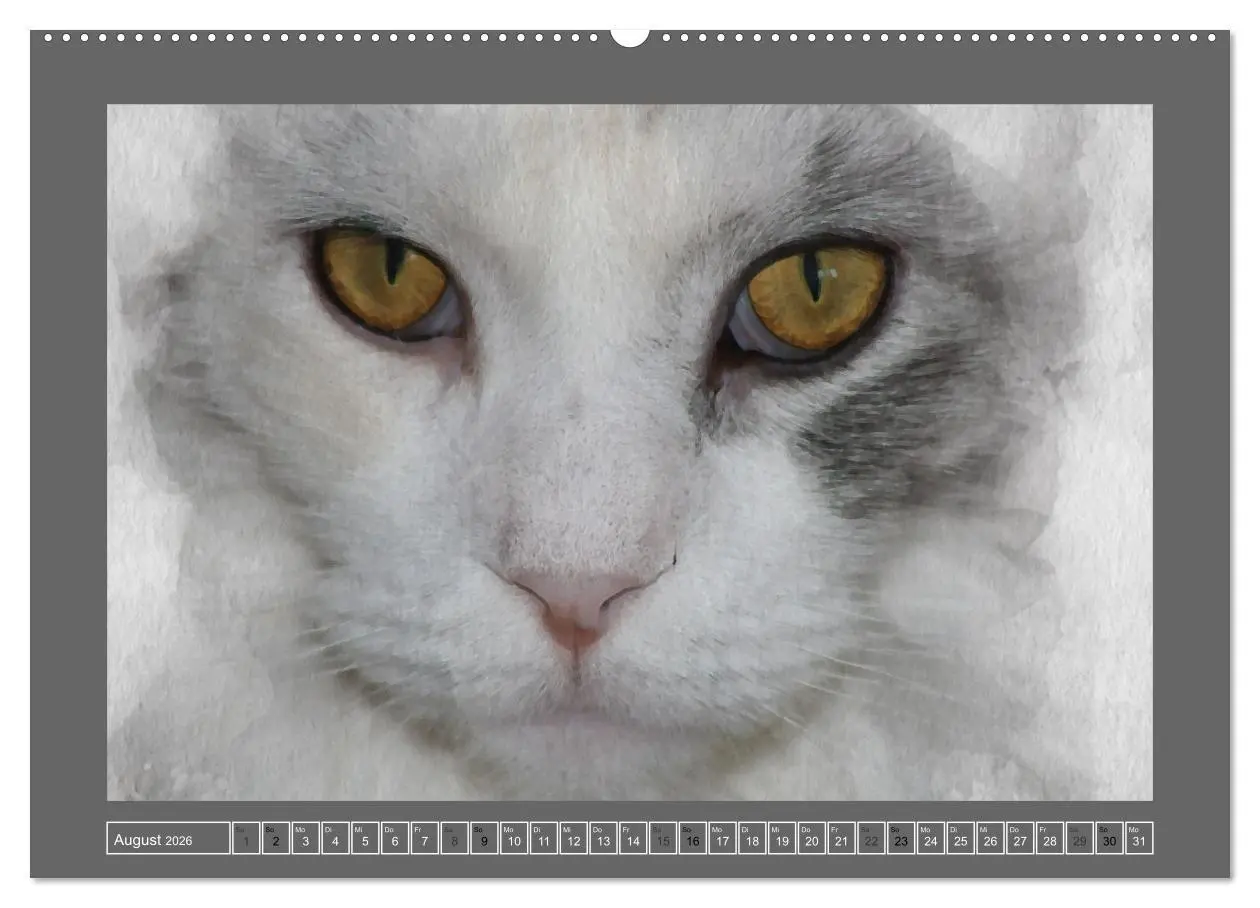 Bild: 9783457446362 | Maine Coon Aquarelle (hochwertiger Premium Wandkalender 2026 DIN A2...