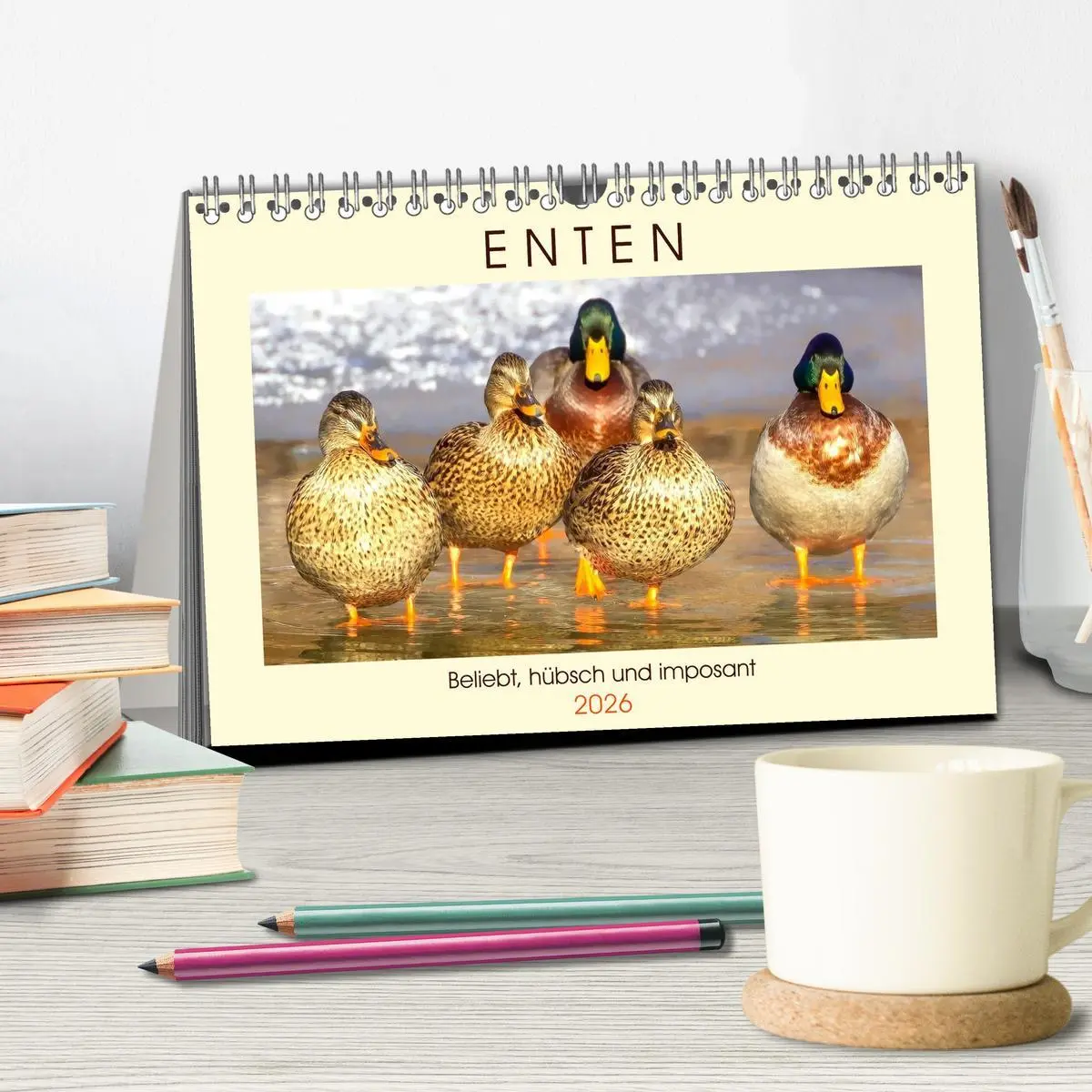 Bild: 9783457826362 | Enten. Beliebt, hübsch und imposant (Tischkalender 2026 DIN A5...