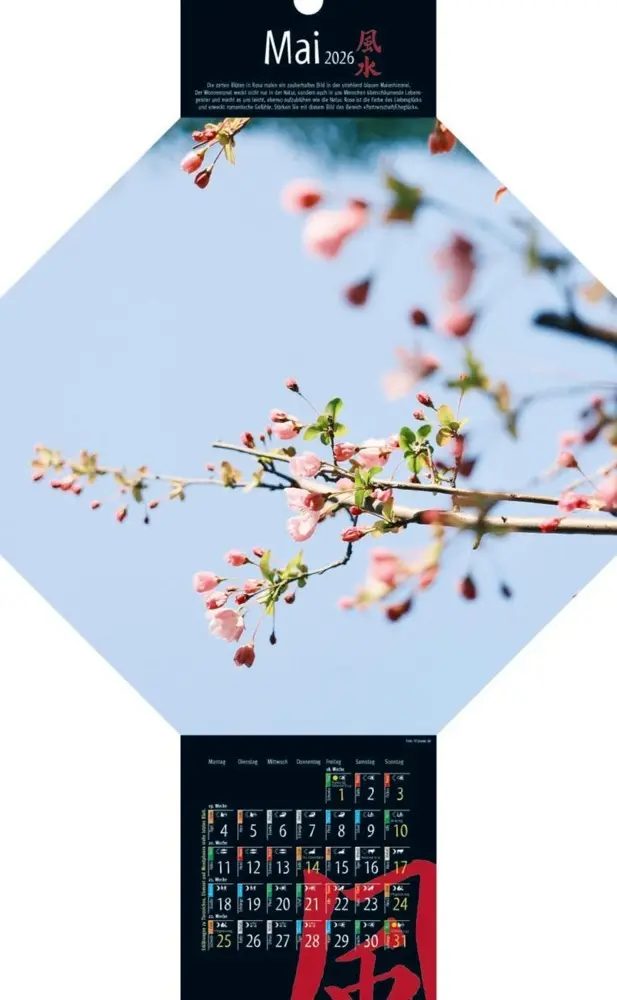 Bild: 9783948276362 | Feng-Shui-Kalender 2026 | Kalender | Spiralbindung | Deutsch | 2026