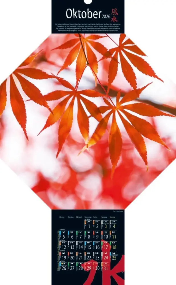 Bild: 9783948276362 | Feng-Shui-Kalender 2026 | Kalender | Spiralbindung | Deutsch | 2026