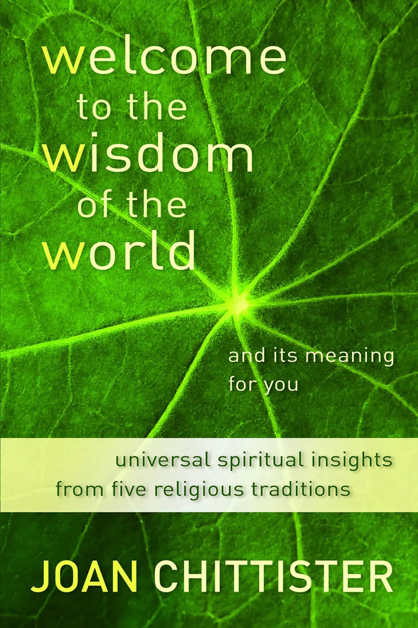 Cover: 9780802866462 | Welcome to the Wisdom of the World and Its Meaning for You | Buch