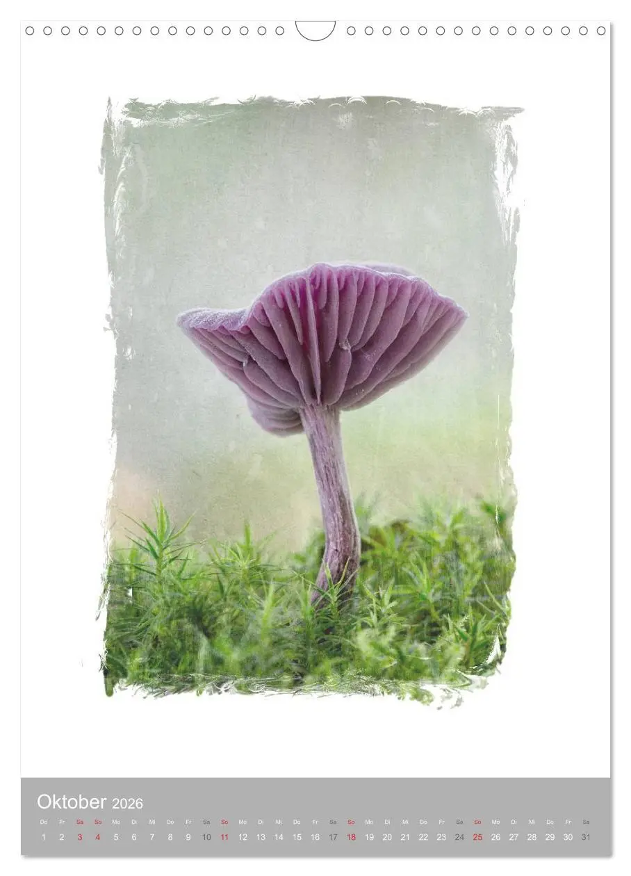 Bild: 9783516456462 | Kunstwerk Natur (Wandkalender 2026 DIN A3 hoch), CALVENDO...